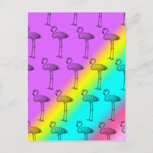 Carte Postale Flamants 2