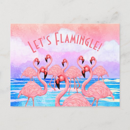 Carte Postale Flamants en Parade (Devant)