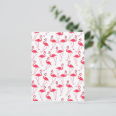 Carte Postale flamants Flimingos (Debout devant)