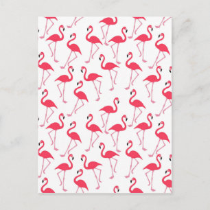 Carte Postale flamants Flimingos