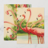 Carte Postale Flamants Rétro (Devant / Derrière)