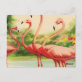 Carte Postale Flamants Rétro (Dos)