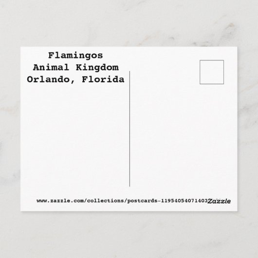 Carte Postale Flamants roses (Dos)