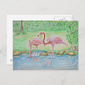 Carte Postale Flamants roses (Devant / Derrière)