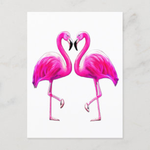 Carte Postale Flamants roses amoureux