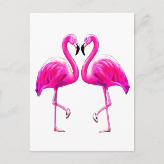 Carte Postale Flamants Roses Amoureux  (Devant)