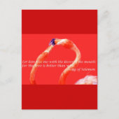 Carte Postale Flamants roses de baiser (Devant)