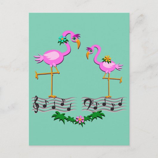 Carte Postale Flamants roses de danse (Devant)