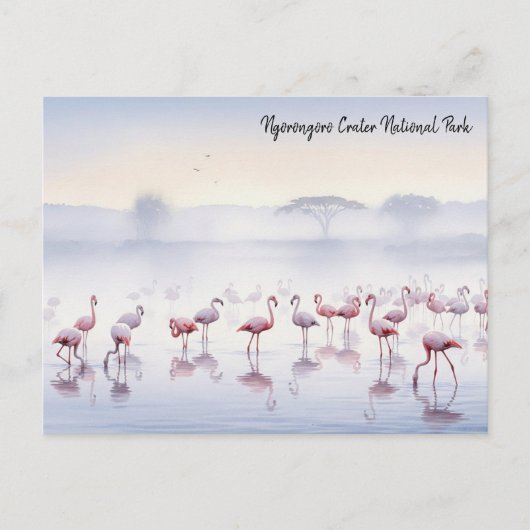 Carte Postale Flamants roses de la Tanzanie de Ngorongoro (Devant)