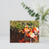 Carte Postale Flamants roses électriques (Debout devant)