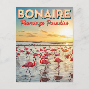 Carte Postale Flamants roses en Bonaire Pays-Bas Caraïbes