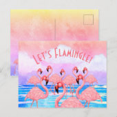 Carte Postale Flamants roses en parade (Devant / Derrière)