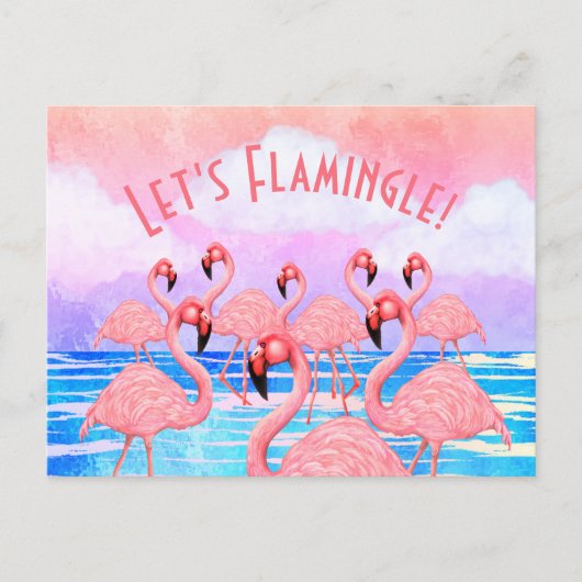 Carte Postale Flamants roses en parade (Devant)