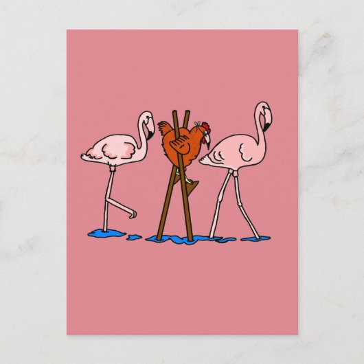 Carte Postale Flamants roses Et Poulet Avec Arrière - plan Rose (Devant)