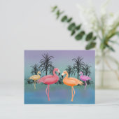 Carte Postale Flamants roses fabuleux (Debout devant)