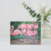 Carte Postale "Flamants roses flamboyants" (Debout devant)
