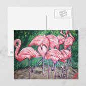 Carte Postale "Flamants roses flamboyants" (Devant / Derrière)