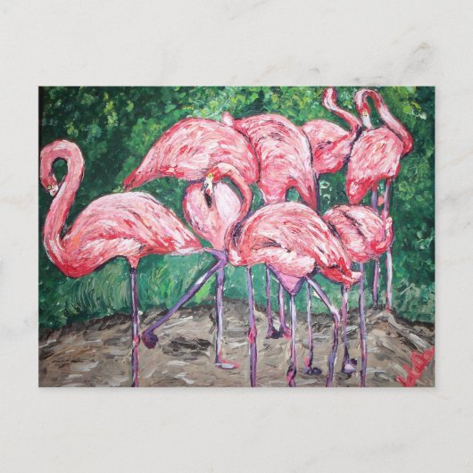 Carte Postale "Flamants roses flamboyants" (Devant)