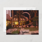 Carte Postale Flamants roses, Las Vegas Postcard (Devant / Derrière)