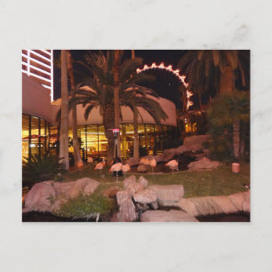 Carte Postale Flamants roses, Las Vegas Postcard
