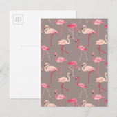 Carte Postale Flamants roses rétro 2 (Devant / Derrière)