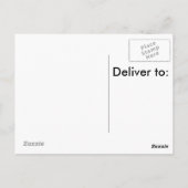 Carte postale Flamants roses roses (Dos)