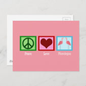 Carte Postale Flamants roses roses (Devant / Derrière)