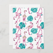 Carte Postale Flamants roses roses (Devant / Derrière)