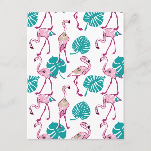 Carte Postale Flamants roses roses (Devant)