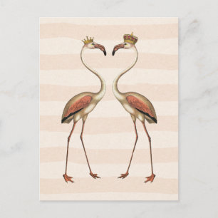 Carte Postale Flamants roses roses dans les Couronnes