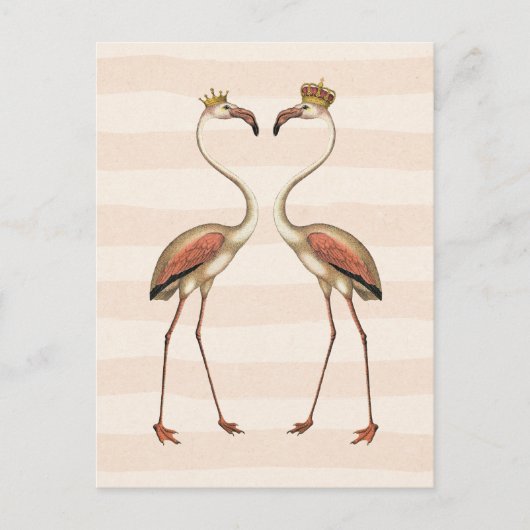 Carte Postale Flamants roses roses dans les Couronnes (Devant)