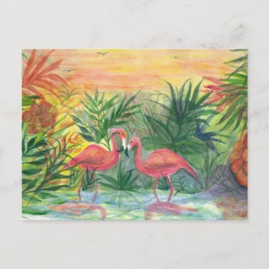 Carte Postale Flamants roses roses Floride Art (Devant)