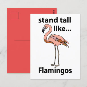 Carte Postale Flamants se tiennent debout comme des flamants ros