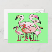 Carte Postale Flamboyance (Devant / Derrière)