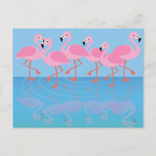 Carte Postale Flamboyance de flamants roses