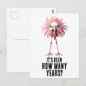 Carte Postale Flamingant drôle de troupeau choquant (Devant / Derrière)