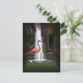 Carte Postale Flamingo (Debout devant)