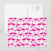 Carte Postale Flamingo rose (Devant / Derrière)