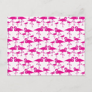 Carte Postale Flamingo rose