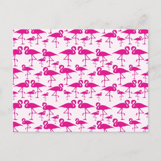 Carte Postale Flamingo rose (Devant)