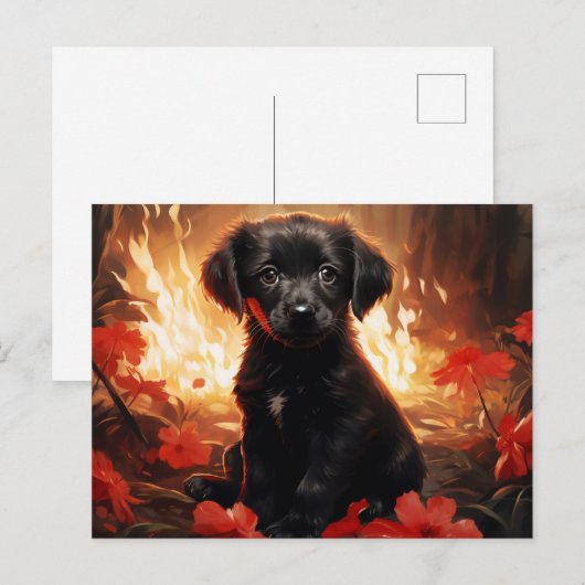 Carte Postale Flamme et Pétales (Devant / Derrière)