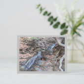 Carte Postale Flamme éternelle à la crête (Debout devant)