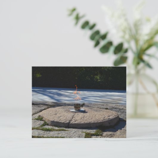 Carte Postale Flamme éternelle JFK (Debout devant)