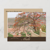 Carte Postale Flammes à Bamako Mali (Devant / Derrière)