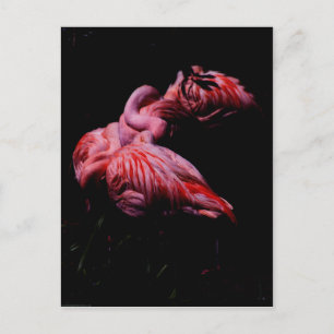 Carte Postale Flammes dans l'obscurité