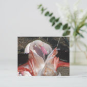 Carte Postale Flash Me ! (Debout devant)