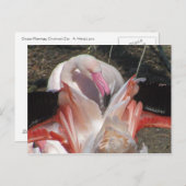 Carte Postale Flash Me ! (Devant / Derrière)