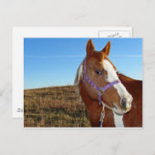 Carte Postale Flashy en Nebraka (Devant / Derrière)