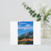 Carte Postale Flatirons et Fleurs, Boulder Colorado (Debout devant)