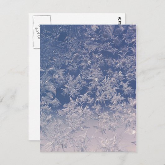 Carte Postale Flèches de neige (Devant / Derrière)